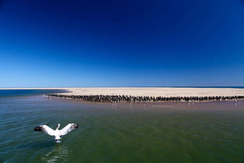 catamaran charters walvis bay contact details