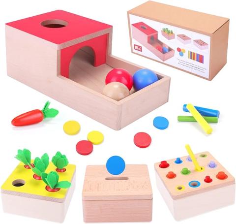 XIAPIA Jeux Montessori 1 Ans Motricite Bebe Jouets Montessori Educatifs en Bois Garcons et Filles Theme Object Boite Permanente 4 en 1 Boite a Pieces Pique Carotte Batons d Assortiment Couleurs Amazon...